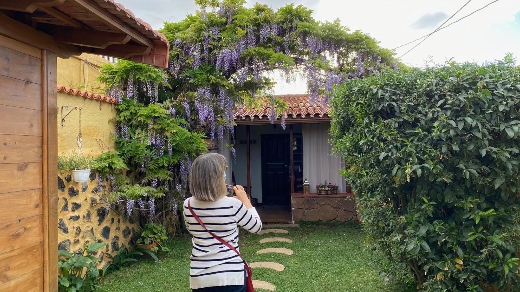 Casa Rural La Ganania Los Realejos Kamer foto